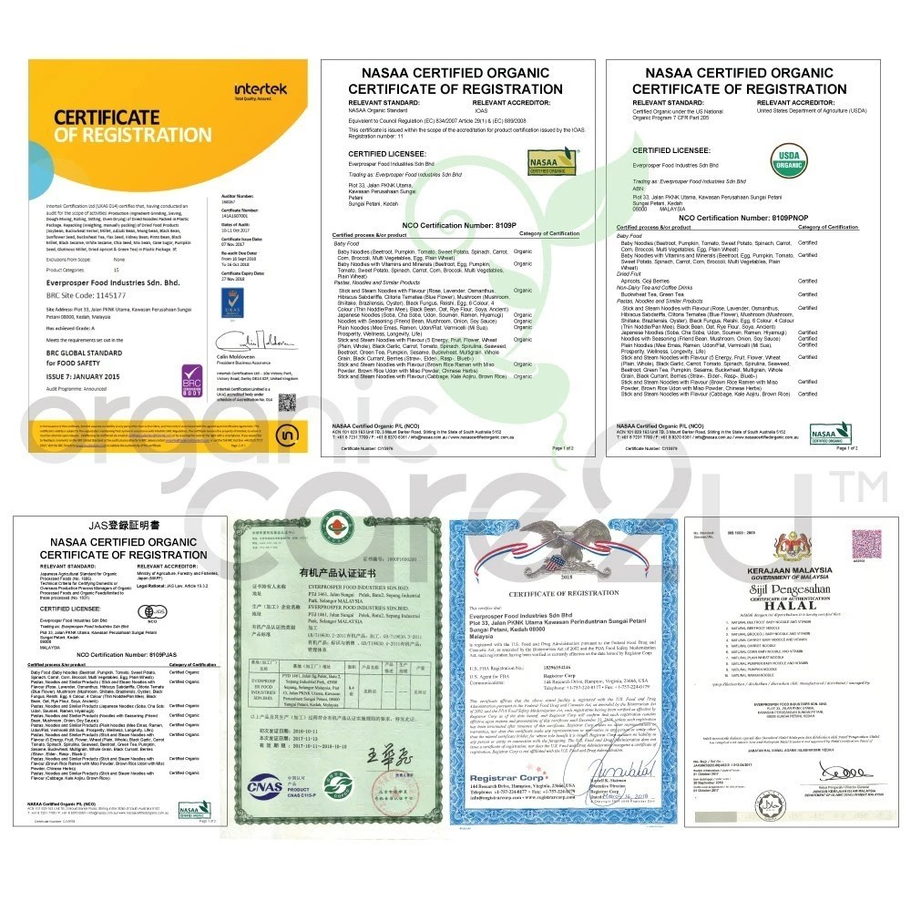 Organic Care2U Carrot Baby Noodle packaging showing Halal, HACCP, GMP, USDA Organic, and NASAA certifications