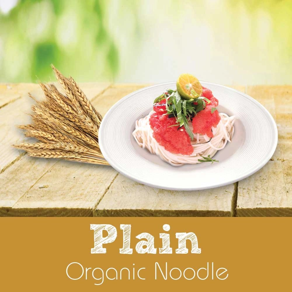 Organic Care2U Plain Noodles 200g – healthy, soft-texture noodles for adults and elderly in Singapore