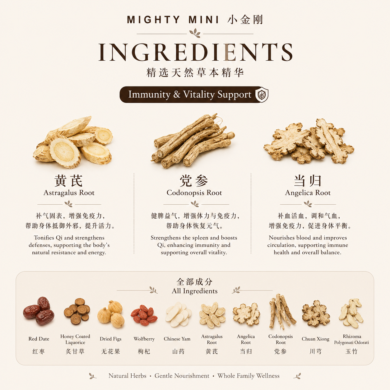 Elf Foods_Souper Elf_Mighty_Mini_Ingredients