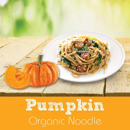 Organic Care2U Pumpkin Noodles 200g – healthy, soft-texture noodles for adults and elderly in Singapore
